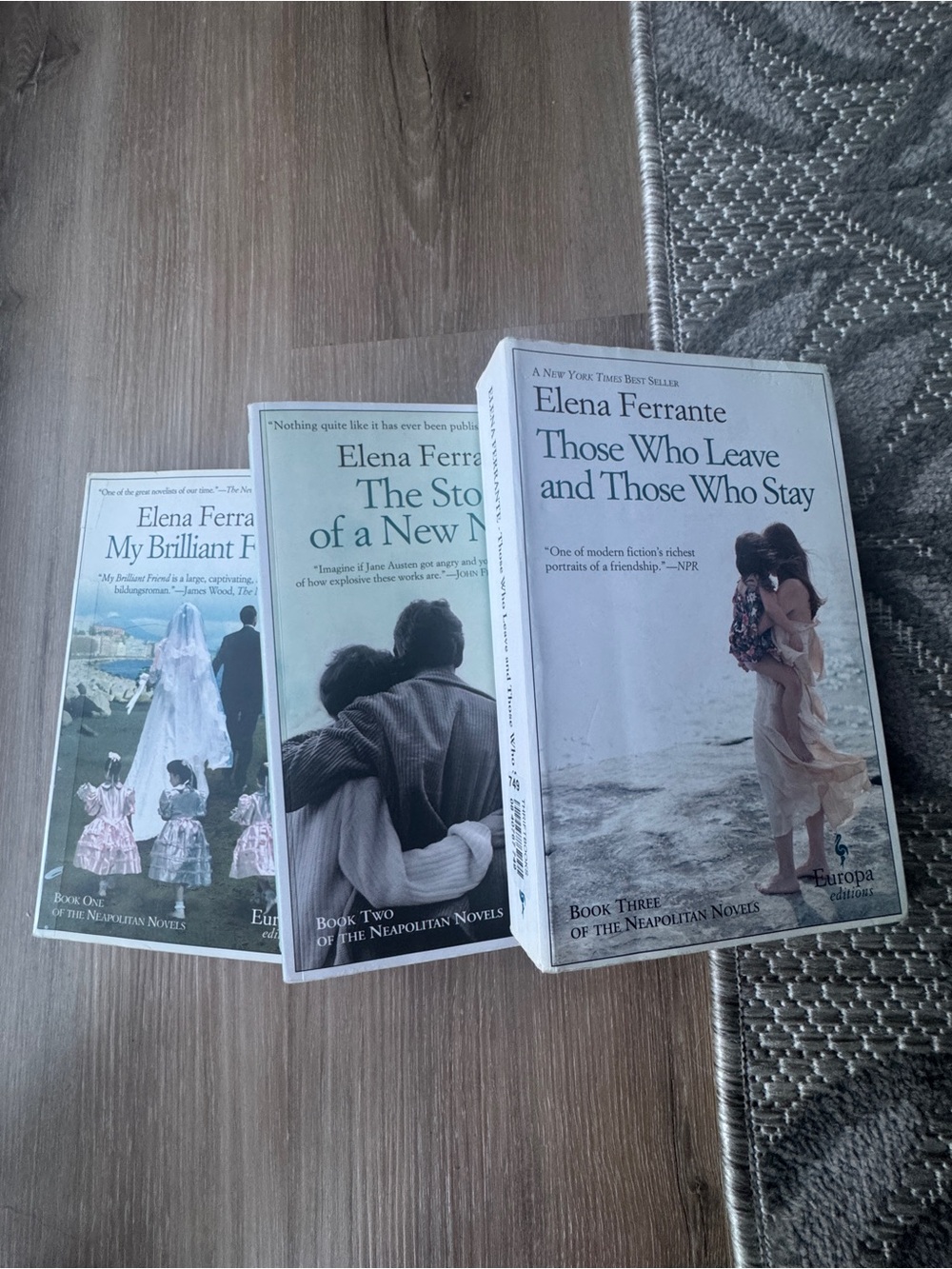 My Brilliant Friend Series Book 1-3